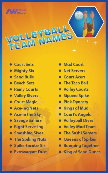 Funny Volleyball Team Names