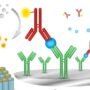 7 Ways to Diagnose Problems with Your ELISA Results