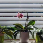 Discover-the-Rising-Popularity-of-Motorized-Shades-in-Modern-Home-Design-940x525