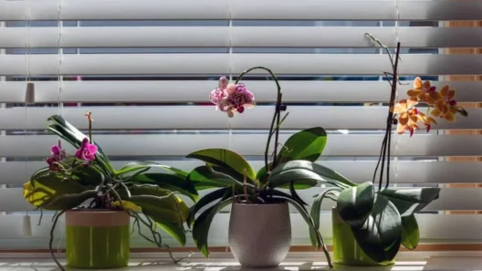 Discover-the-Rising-Popularity-of-Motorized-Shades-in-Modern-Home-Design-940x525