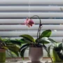 Discover-the-Rising-Popularity-of-Motorized-Shades-in-Modern-Home-Design-940x525