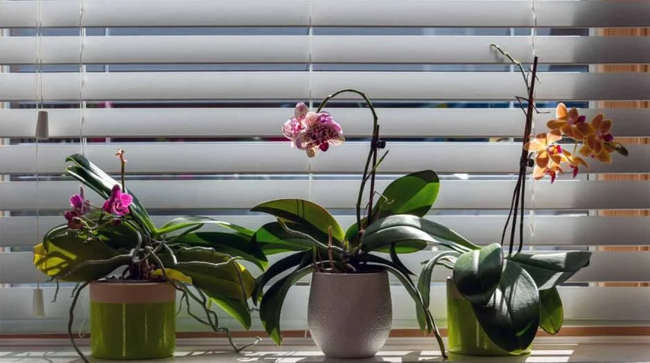 Discover-the-Rising-Popularity-of-Motorized-Shades-in-Modern-Home-Design-940x525