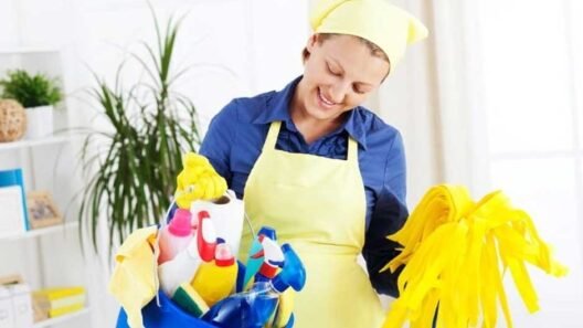 the Best Maid Service for Your Needs
