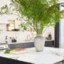 Finding the Perfect Shade: How to Choose the Right Cabinet Color for Your Kitchen