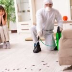How Can Lincoln Homeowners Prevent Seasonal Pests Year-Round
