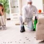 How Can Lincoln Homeowners Prevent Seasonal Pests Year-Round