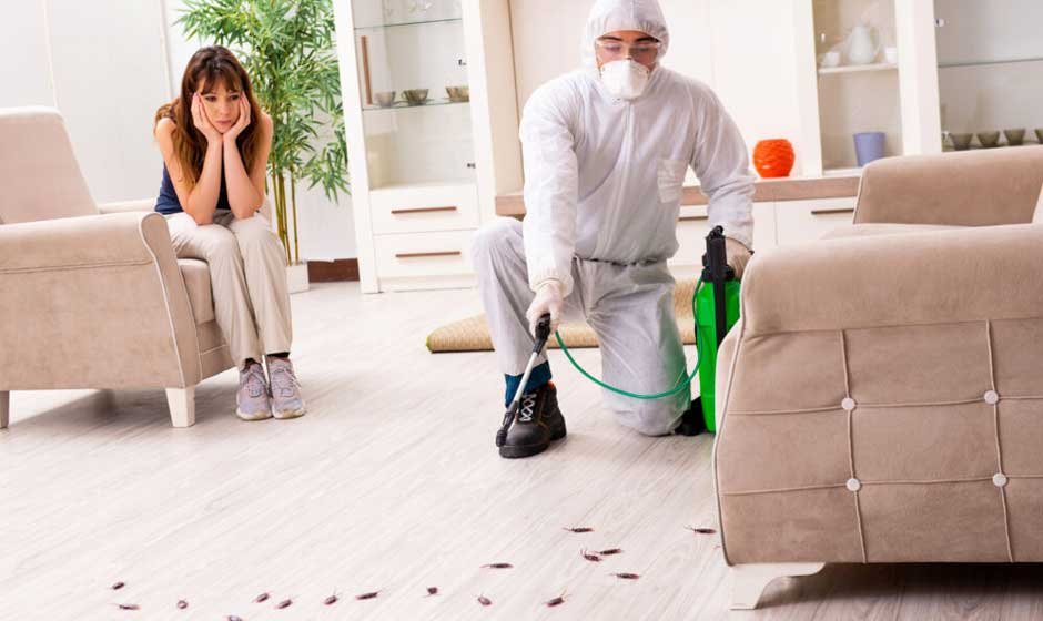 How Can Lincoln Homeowners Prevent Seasonal Pests Year-Round