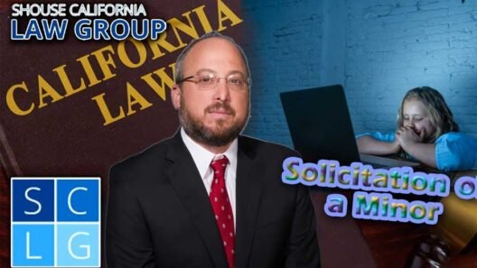 How Legal Professionals Address Charges Involving Minors