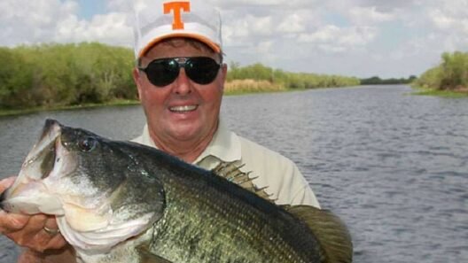 Bill Dance's net worth