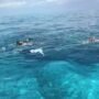 Discover the Ocean's Magic