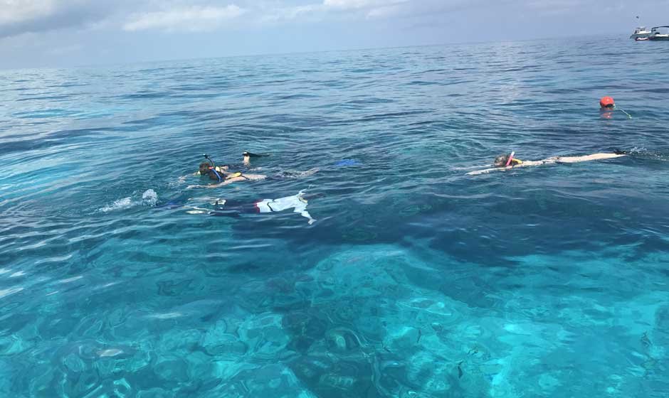 Discover the Ocean's Magic