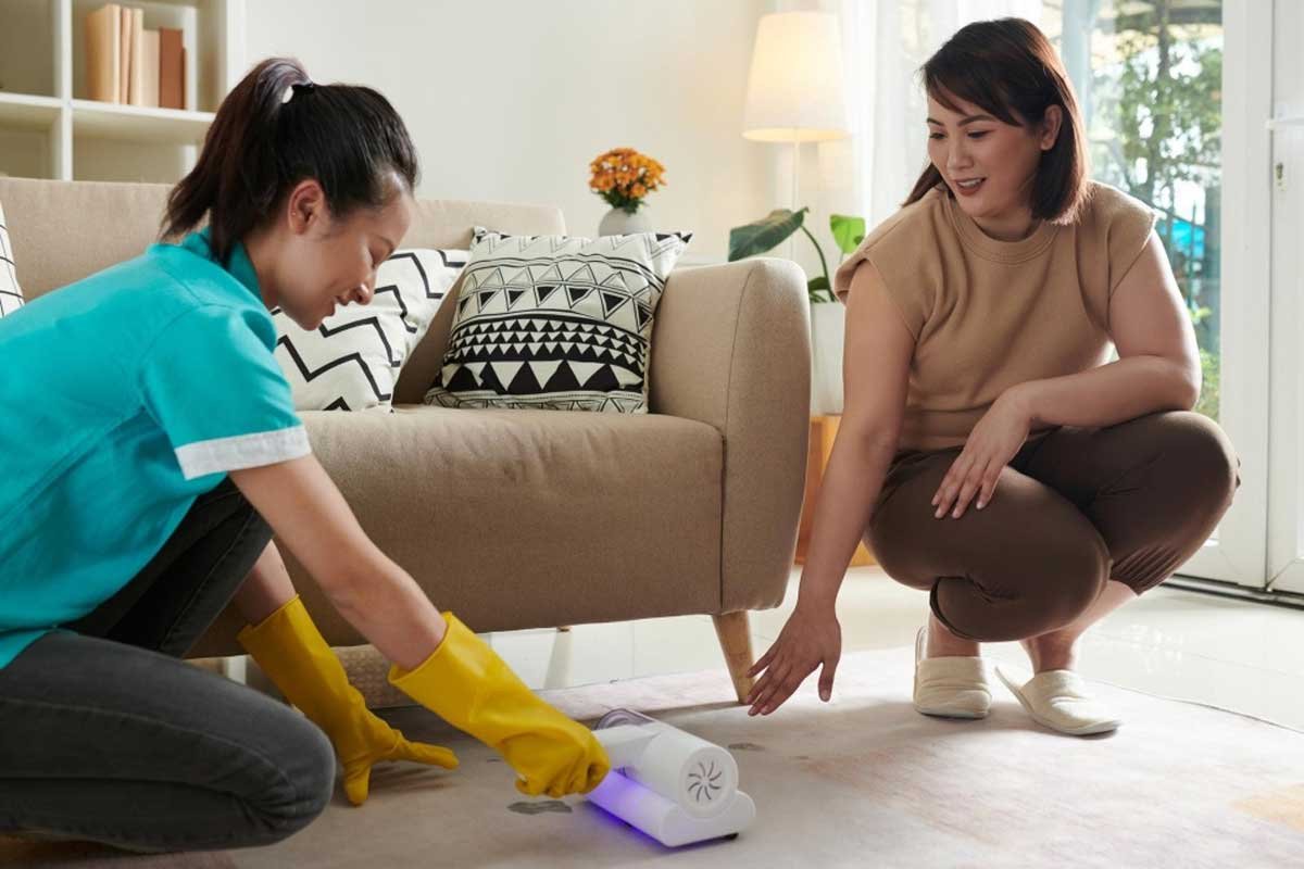 How to Choose the Right Maid Services for Your Home