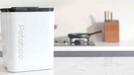 Keeping Food Fresher for Longer: Smart Storage Tips for Every Kitchen