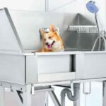 Multi-Pet Bathing Without the Chaos: Why a Pet Washing Station Works