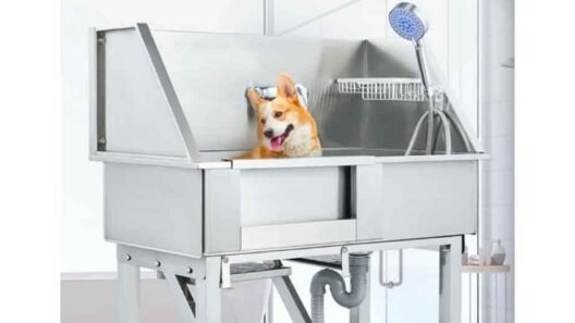 Multi-Pet Bathing Without the Chaos: Why a Pet Washing Station Works