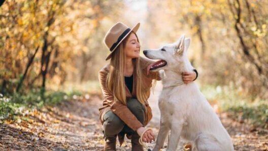 7 Reasons Grooming Is Essential for Your Pet’s Happiness