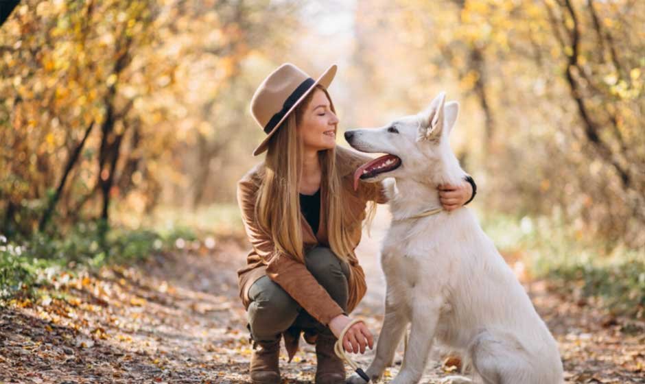 7 Reasons Grooming Is Essential for Your Pet’s Happiness