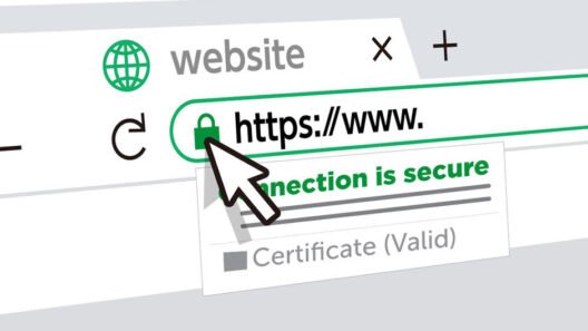 A Guide to Purchase Certificates for Your Website