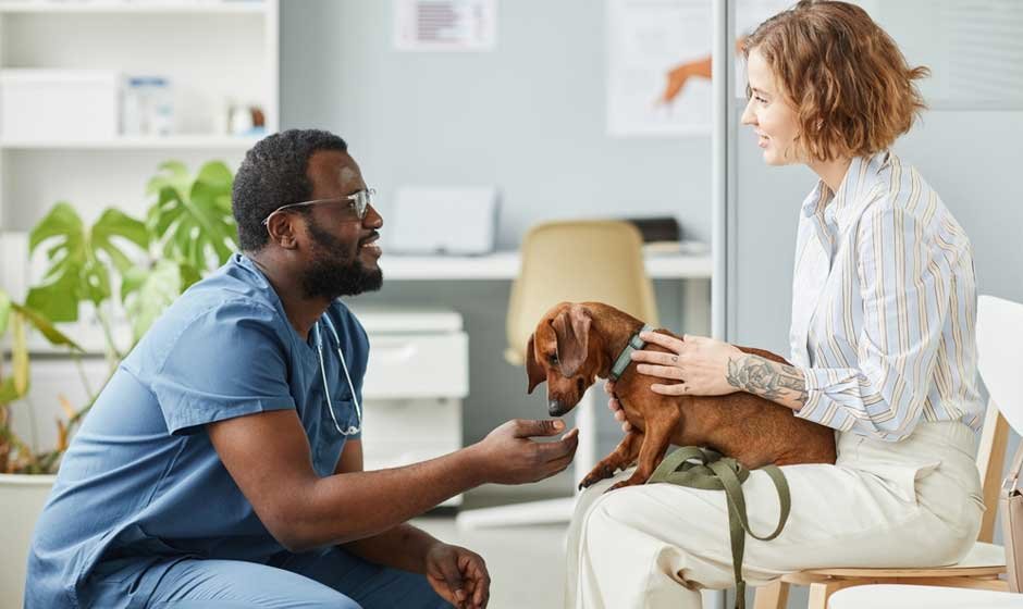 How Veterinary Consultants Support Mental Health in Animal Care Professionals
