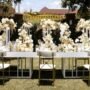 Navigating the Complexities of Liquor Liability Insurance for Event Venues