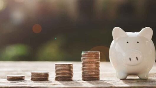 Earn More or Save More: What Really Works?