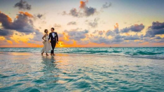 Planning the Perfect Wedding