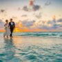 Planning the Perfect Wedding