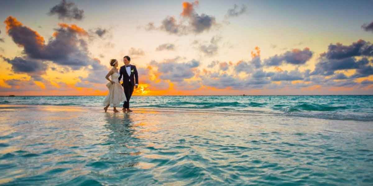 Planning the Perfect Wedding